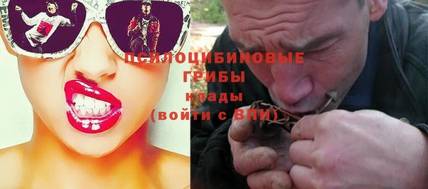 стаф Елизово