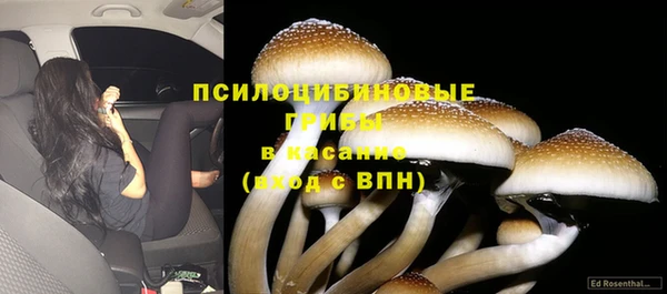 кокаин колумбия Елабуга