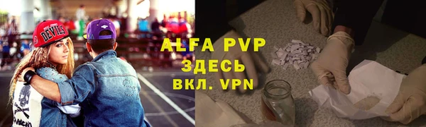 стаф Елизово