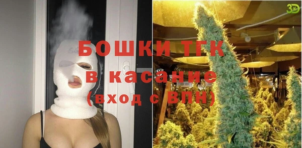 стаф Елизово