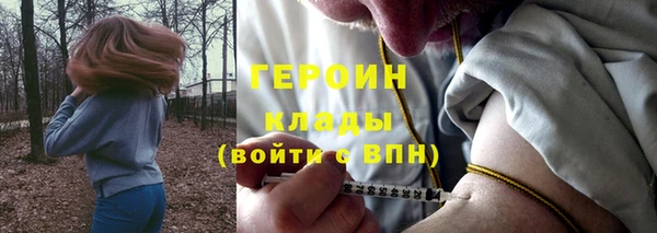 стаф Елизово