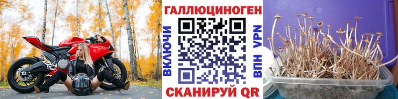Галлюциногенные грибы мухоморы  Кизел 
